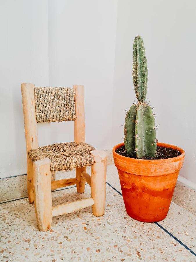 Cactus Surf House Tamraght Exterior foto